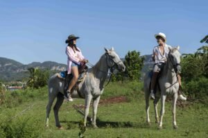 viñales luxury suites horseback